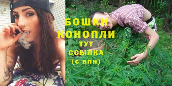 дурь Надым