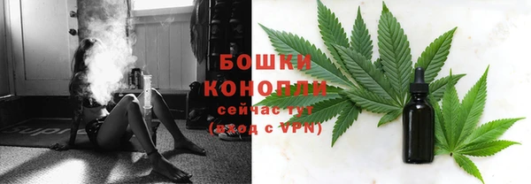 дурь Надым